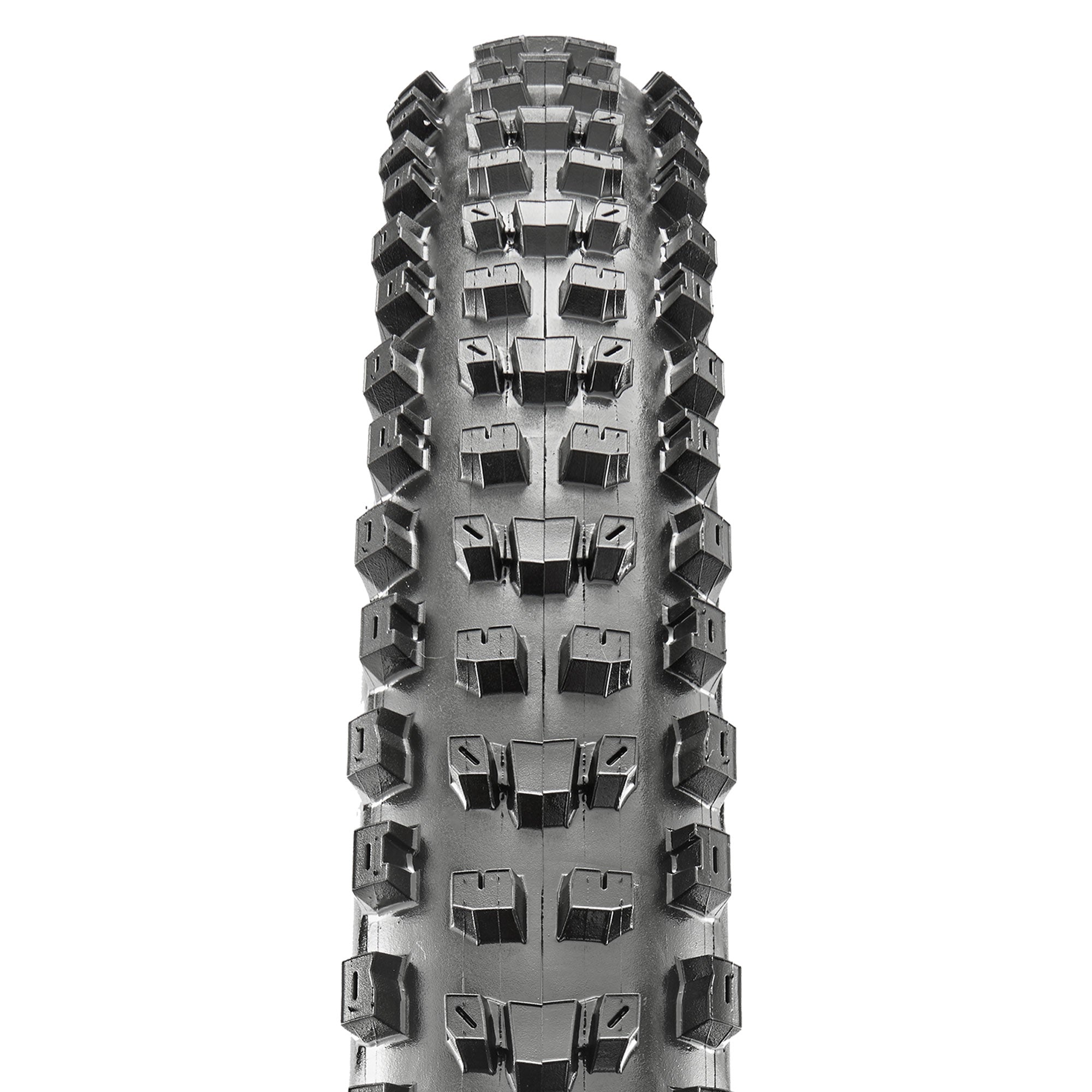 Maxxis Dissector