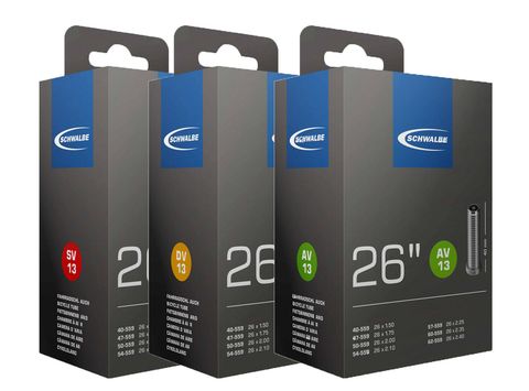 Schwalbe DV13