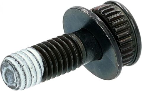 Shimano SHIMANO Befestigungsschraube Bremssattelhalter BR-R9170 A - 4 g, Y8PU07000