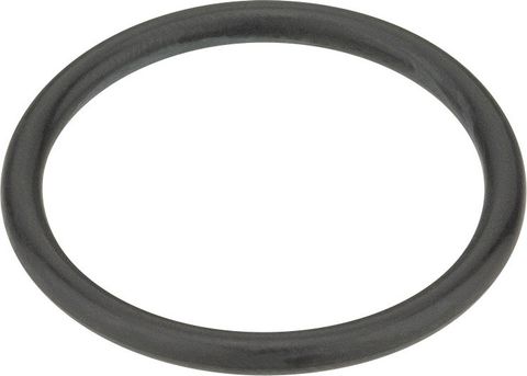 ORTLIEB ORTLIEB Gummidichtring für Wasserbeutel / Wassersack / Wasserkatze bis 1998