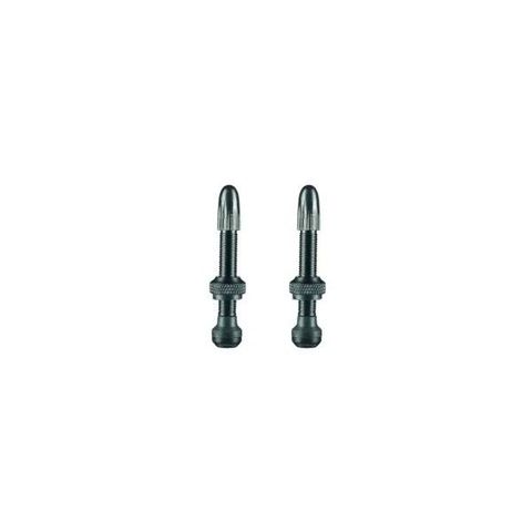 Schwalbe Schwalbe Tubeless Ventielen