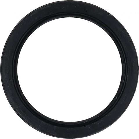 Shimano SHIMANO DICHTRING RE. SGS705 - Ersatz-Dichtungsring für Schaltwerk, EAN 4524667369257
