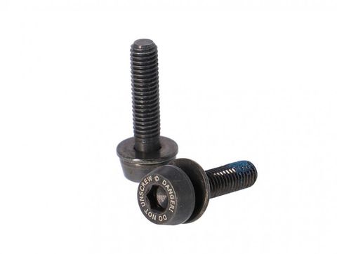 Campagnolo Campagnolo Schrauben H11 (Scheibenbr.) AC18-DBSC19,2x19mm f.10-14mm hinten