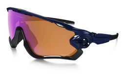 Oakley OAKLEY Jawbreaker Fietsbril Prizm Trail Lens Grijs
