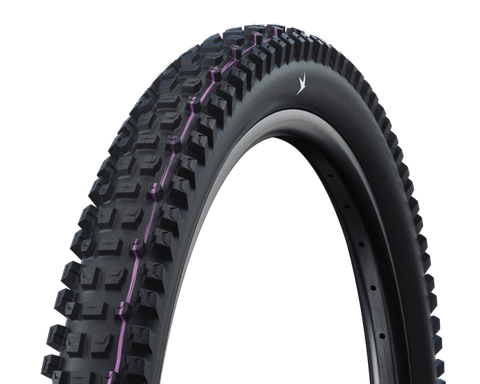 Schwalbe GRAVITY PRO Albert Radial