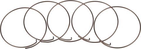 Fulcrum Fulcrum Sperrklinkenfedern 5-RM0-005 für MTB Freilaufkörper