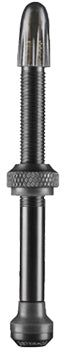 Schwalbe Schwalbe tubeless ventiel 2 stuks SV 40mm