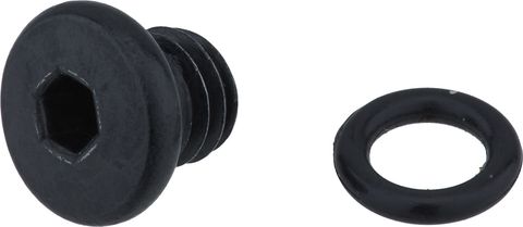 Shimano Shimano Entlüftungsschraube mit Dichtung für ST-EF505 und BL-MT201