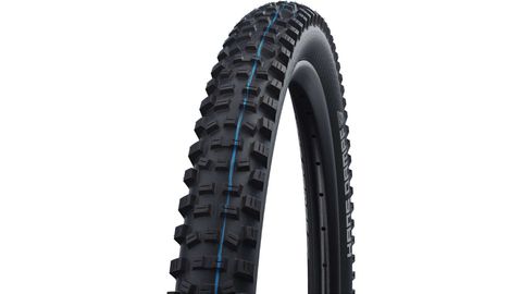 Schwalbe Schwalbe Hans Dampf Evo ST 29