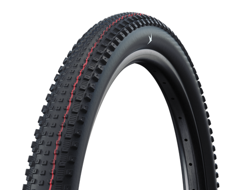 Schwalbe Rick