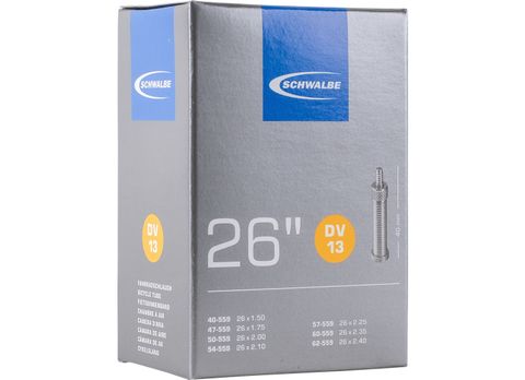 Schwalbe DV13