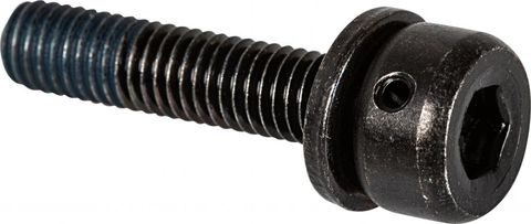 Shimano SHIMANO Befestigungsschraube Bremssatteladapter Flat-Mount-Rahmen 15 mm M5 x 21,8 mm - 15 mm, 21,, 8 mm