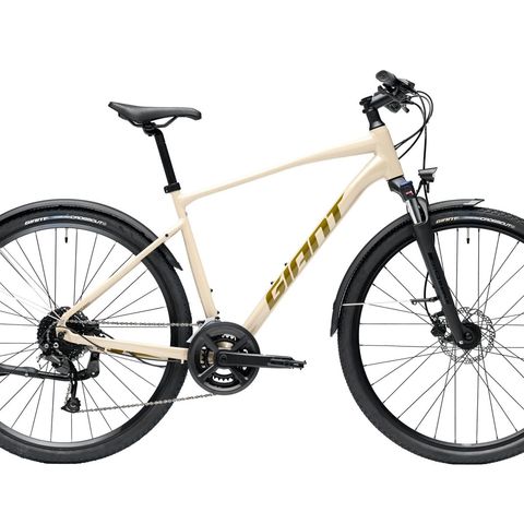 Giant Giant Roam EX - Almond S