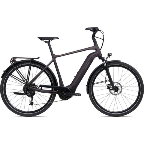 Giant Giant DailyTour E+ 3 (RC Dash) - Herren - Rosewood Matt-Gloss S
