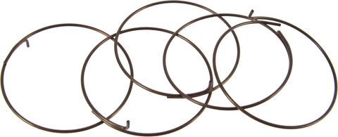 Fulcrum Fulcrum Sperrklinkenfedern 5-R1-015 für RR Freilaufkörper