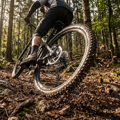 Continental Continental ETRTO Continental Magnotal Trail Grip MTB Faltreifen 29x2