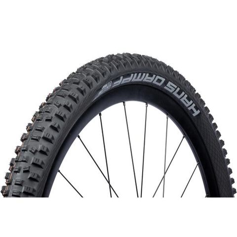 Schwalbe Schwalbe Hans Dampf Addix Soft Grip TLE Buitenband