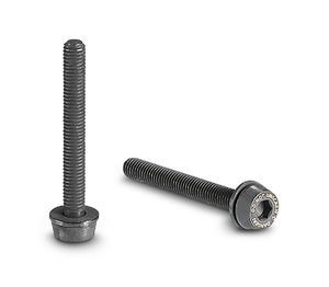 Campagnolo CAMPAGNOLO Bouten voor Schijfremklauw Achter 2 stuks 19mm