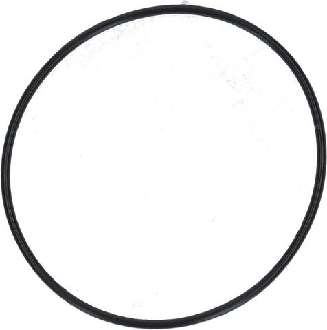 Shimano SHIMANO O-Ring SG-5R30-BT - Ersatz-O-Ring für Nabenschaltung, ca. 1 g