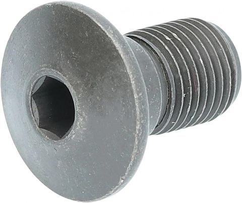 Shimano SHIMANO Achse für Schaltwerkhalter RD-TZ500 Direktmontage - 6/7-fach, Tourney TZ