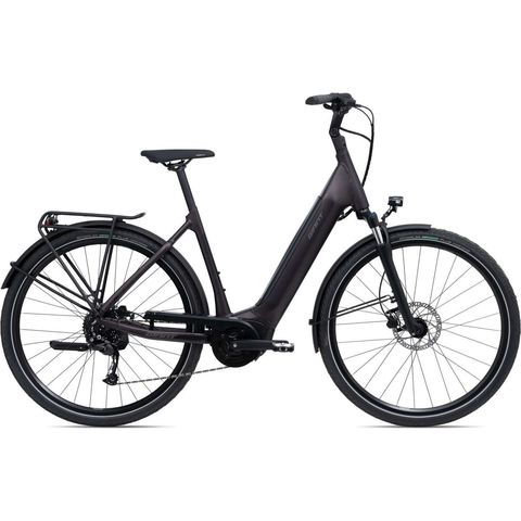 Giant Giant DailyTour E+ 3 (RC Dash) - Tiefeinsteiger - Rosewood Matt-Gloss S