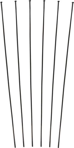 DT Swiss DT Swiss Speichenkit für ARC 1100 DICUT® 80 schwarz 233 mm, 238 mm