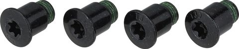 Sram SRAM Kettenblattschrauben für Rival (D1) black