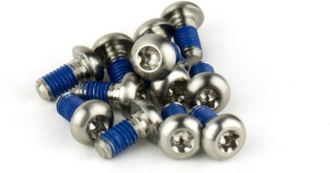 Sram SRAM Befestigungsschraube Rotor - titan, T25 - silber