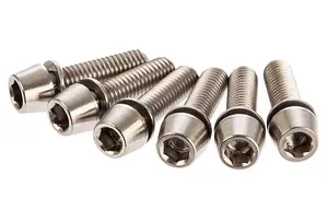 Ritchey RITCHEY WCS 4Axis Titanium Stuupen Vervangingsbouten Zilver 6 Stuks
