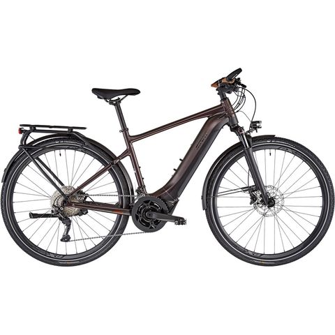Giant Giant Explore E+ Pro 1 (RC Dash) Herren - Rosewood / Black Satin-Matt-Gloss S