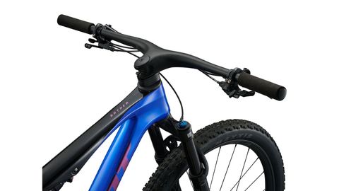 Giant Giant Anthem Advanced SL 3 RAINBOW / S