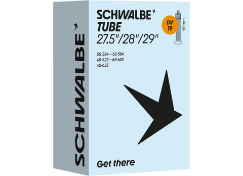 Schwalbe DV19