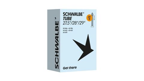 Schwalbe DV19