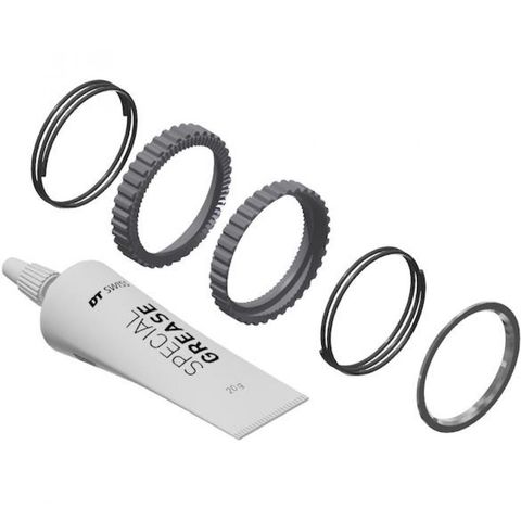 DT Swiss DT Swiss Ratchet DEG 72T Service Kit - 72 Zähne - 37 g