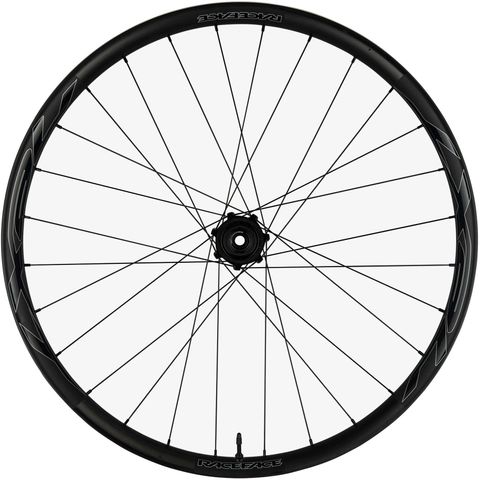 Race Face Race Face Next-R 36 Super Boost Microspline 29" Hinterrad - black - Größe 12x157 mm / Super Boost Micros