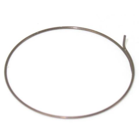 Fulcrum Fulcrum Pawl spring MTB