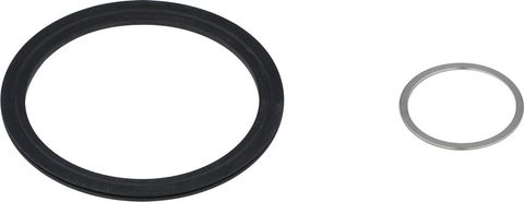 Zipp Zipp Freilaufdichtung für 177 / 177D Naben