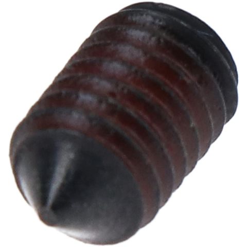 Shimano SHIMANO Schraube für E-BIKE SYSTEMS Schalter SW-EM800 (M5 L8) - Ersatzschraube, ca. 12 g
