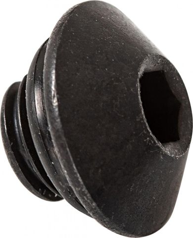 Shimano SHIMANO Schraube für Schmieröffnung SC - Dichtungsring, ca. 2 g, Y37R98130
