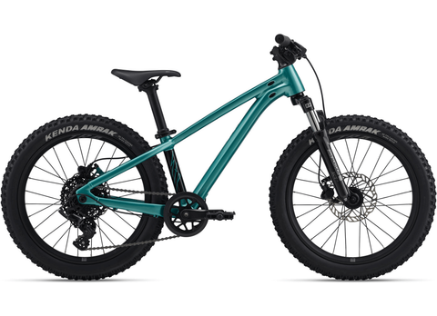Giant Giant STP 20 FS 2026 Groen