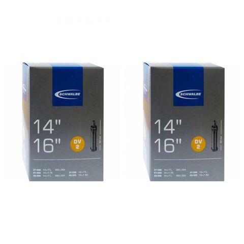 Schwalbe DV2