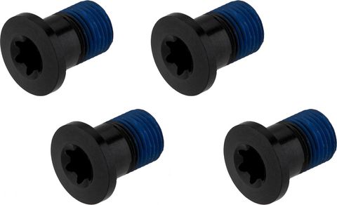 Race Face Race Face Kettenblattschrauben Aluminium 4-Arm lang black