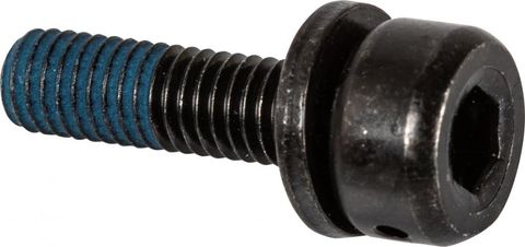 Shimano SHIMANO Befestigungsschraube Bremssatteladapter Flat-Mount-Rahmen 10 mm M5 x 16,8 mm - 10 mm, 16,, 8 mm