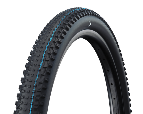 Schwalbe Rick