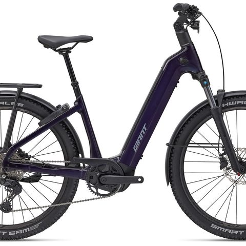 Giant Giant Anytour X E+ 3 Tiefeinsteiger - Black Currant S