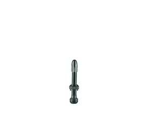Schwalbe SCHWALBE Tubeless Ventiel 2 stuks 40mm
