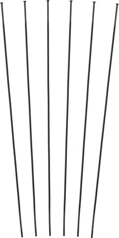 DT Swiss DT Swiss Speichenkit für PR 1600 SPLINE® 23 schwarz 288 mm, 295 mm, 297 mm