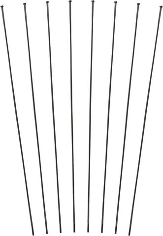 DT Swiss DT Swiss Speichenkit für PR 1400 DICUT® DB 21 schwarz 289 mm, 290 mm, 295 mm