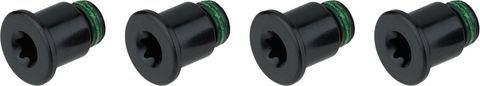 Sram SRAM Kettenblattschrauben für 4-Arm 2-fach Force (D1) black