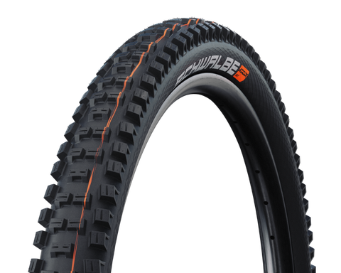 Schwalbe Big Betty